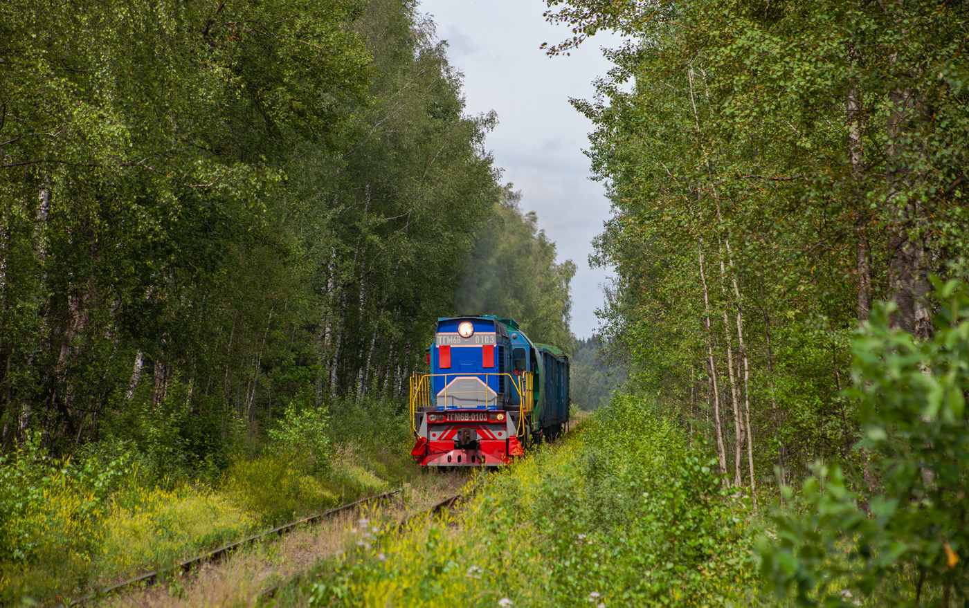 ТГМ6В-0103
