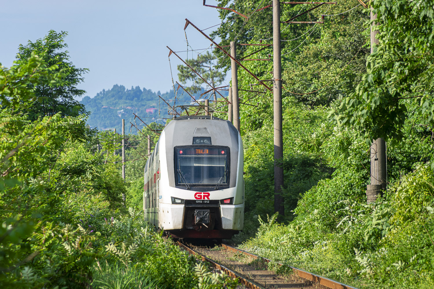 GRS-012