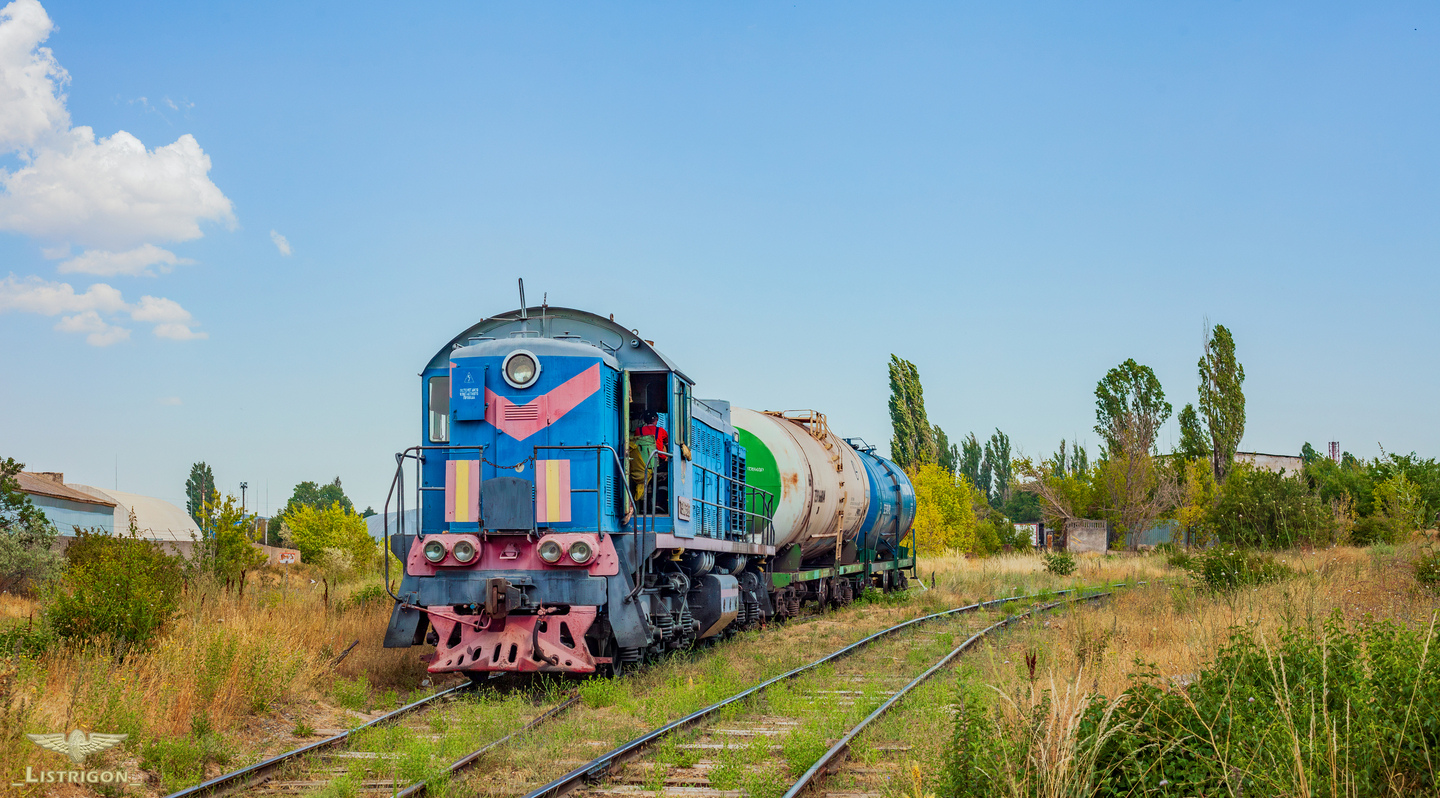 ТЭМ2-2822