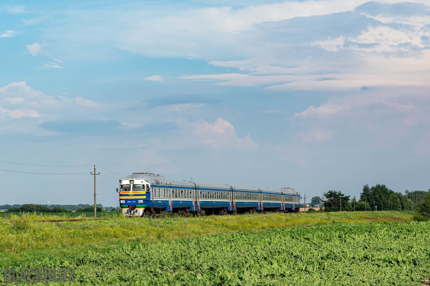 ДР1А-231