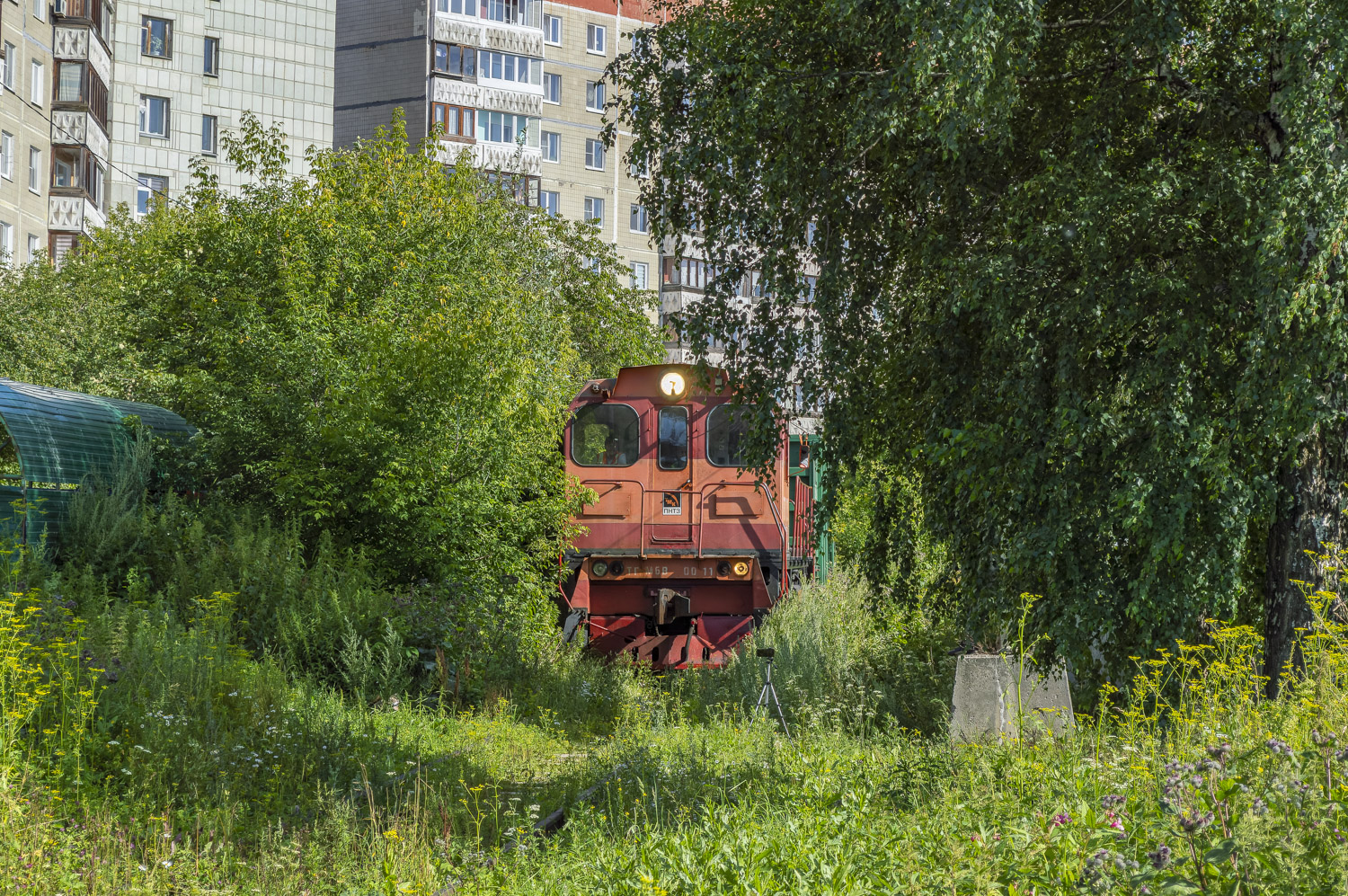 ТГМ6В-0011 ТГМ6В-0011