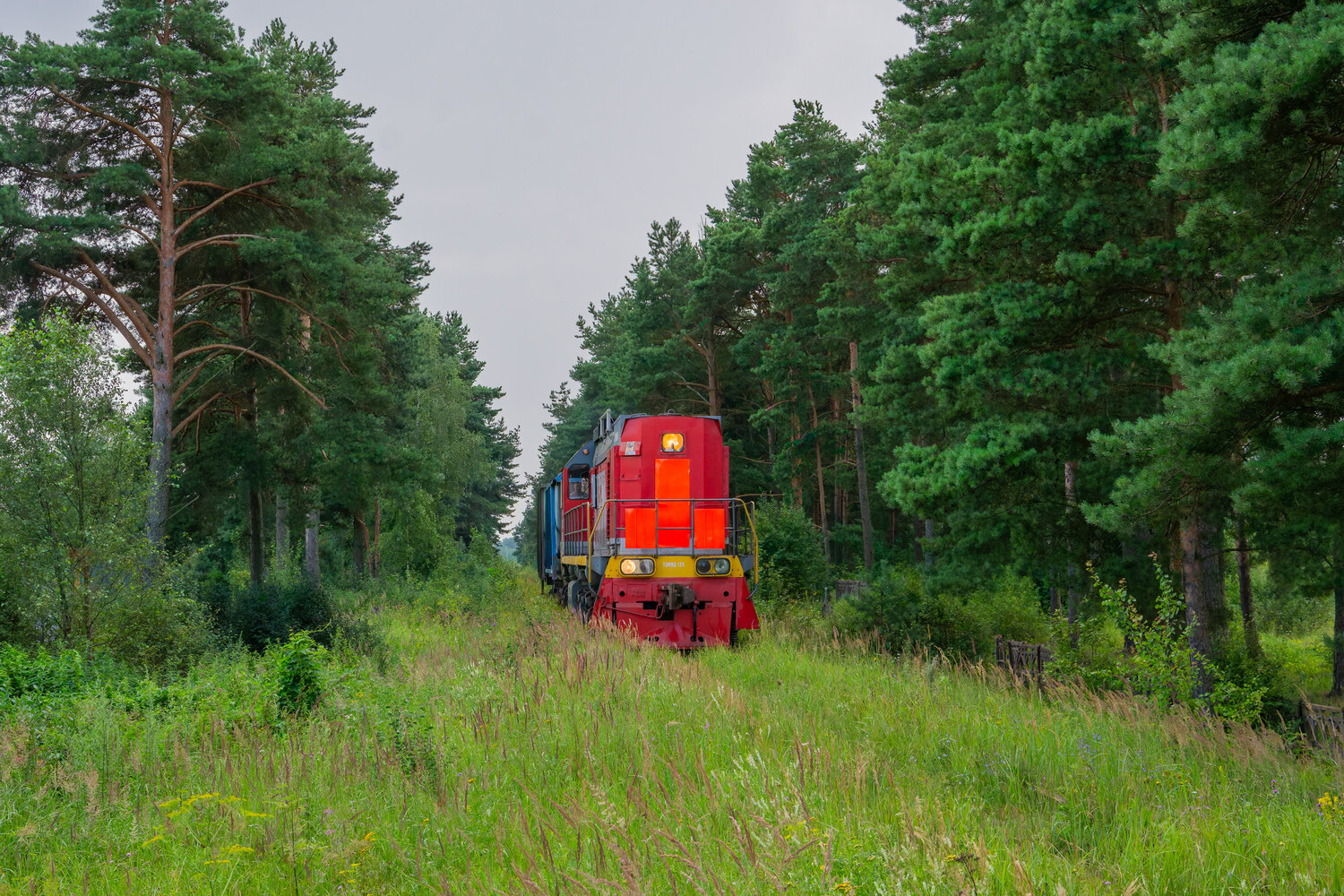 ТЭМ18Д-125