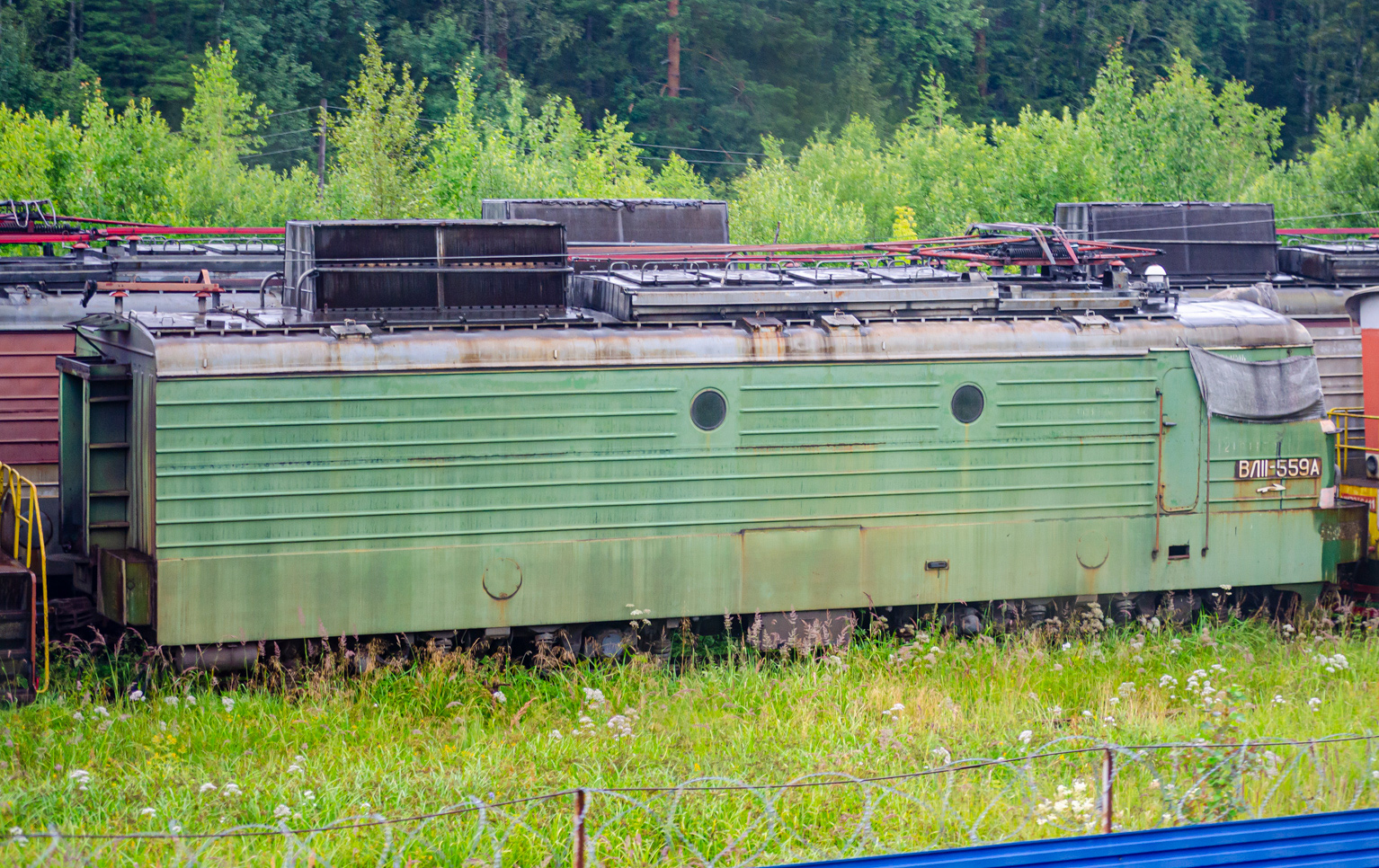 ВЛ11-559
