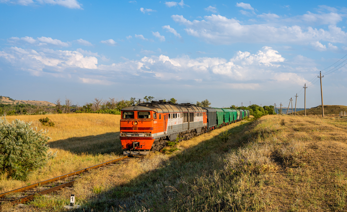 2ТЭ116-542