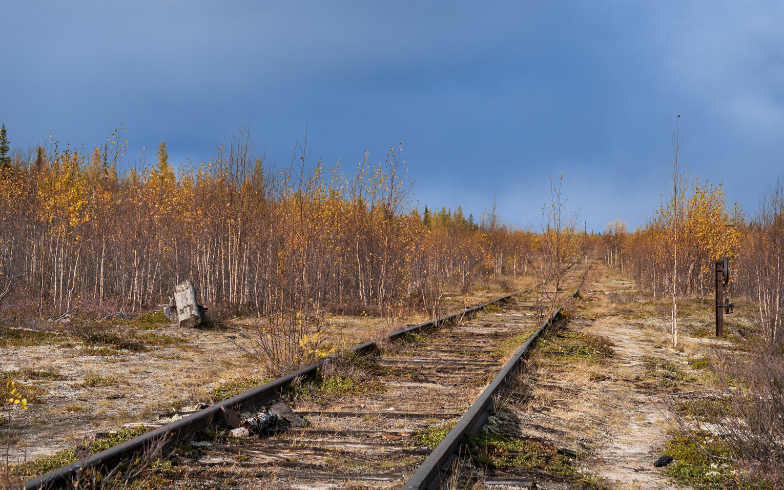 Other — Miscellaneous photos