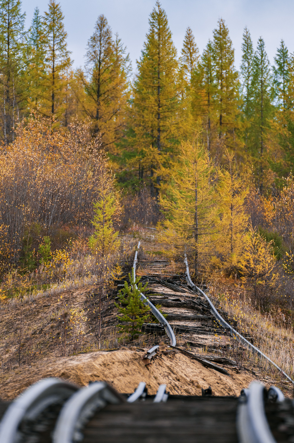 Прочее — Разные фотографии