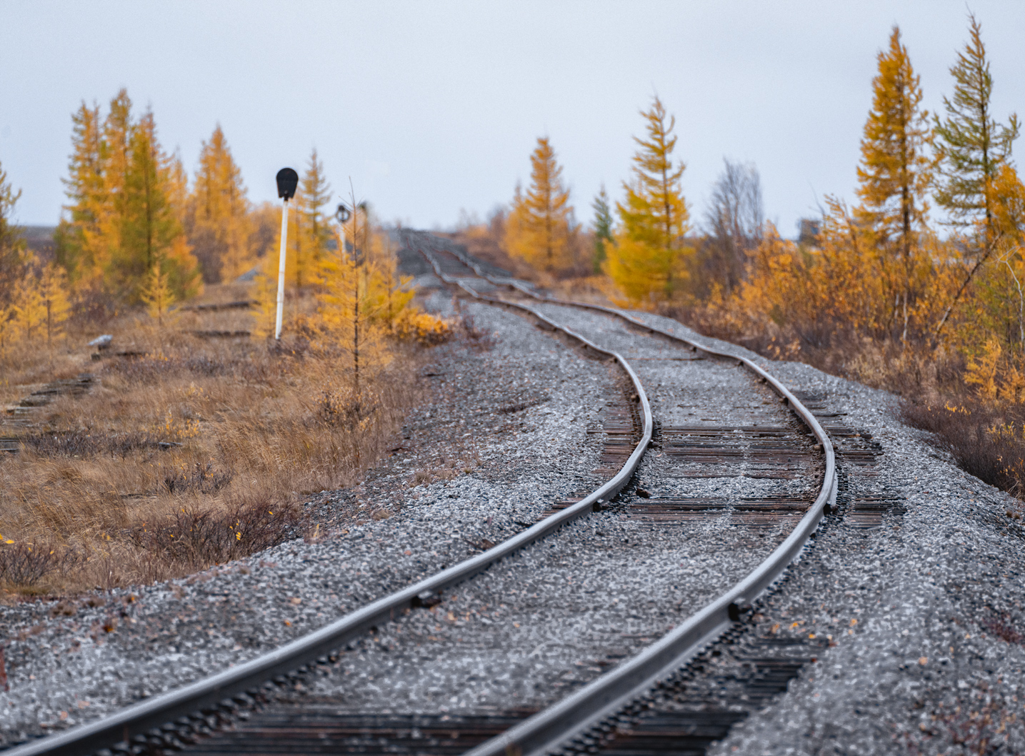 Прочее — Разные фотографии