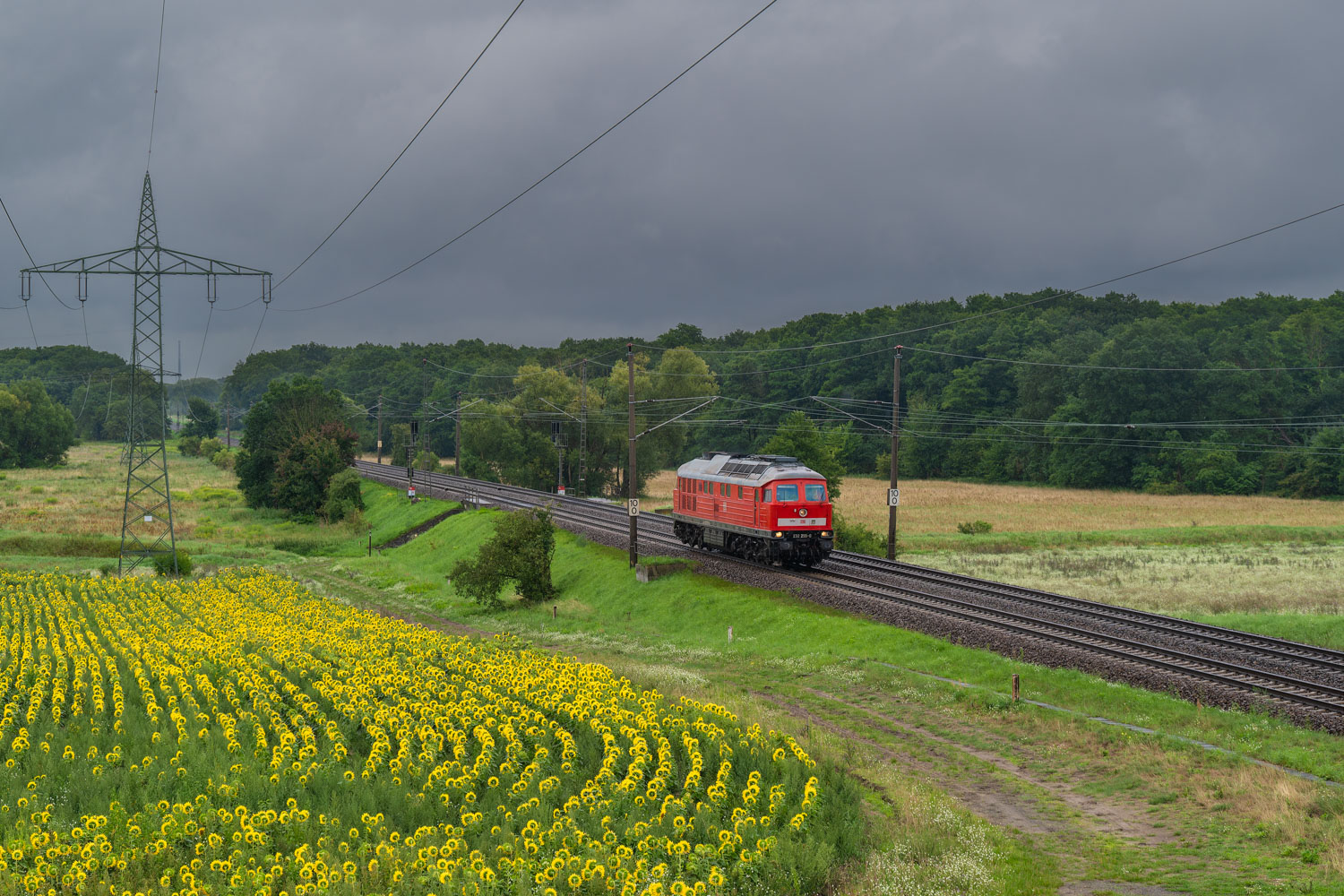 232 255-0