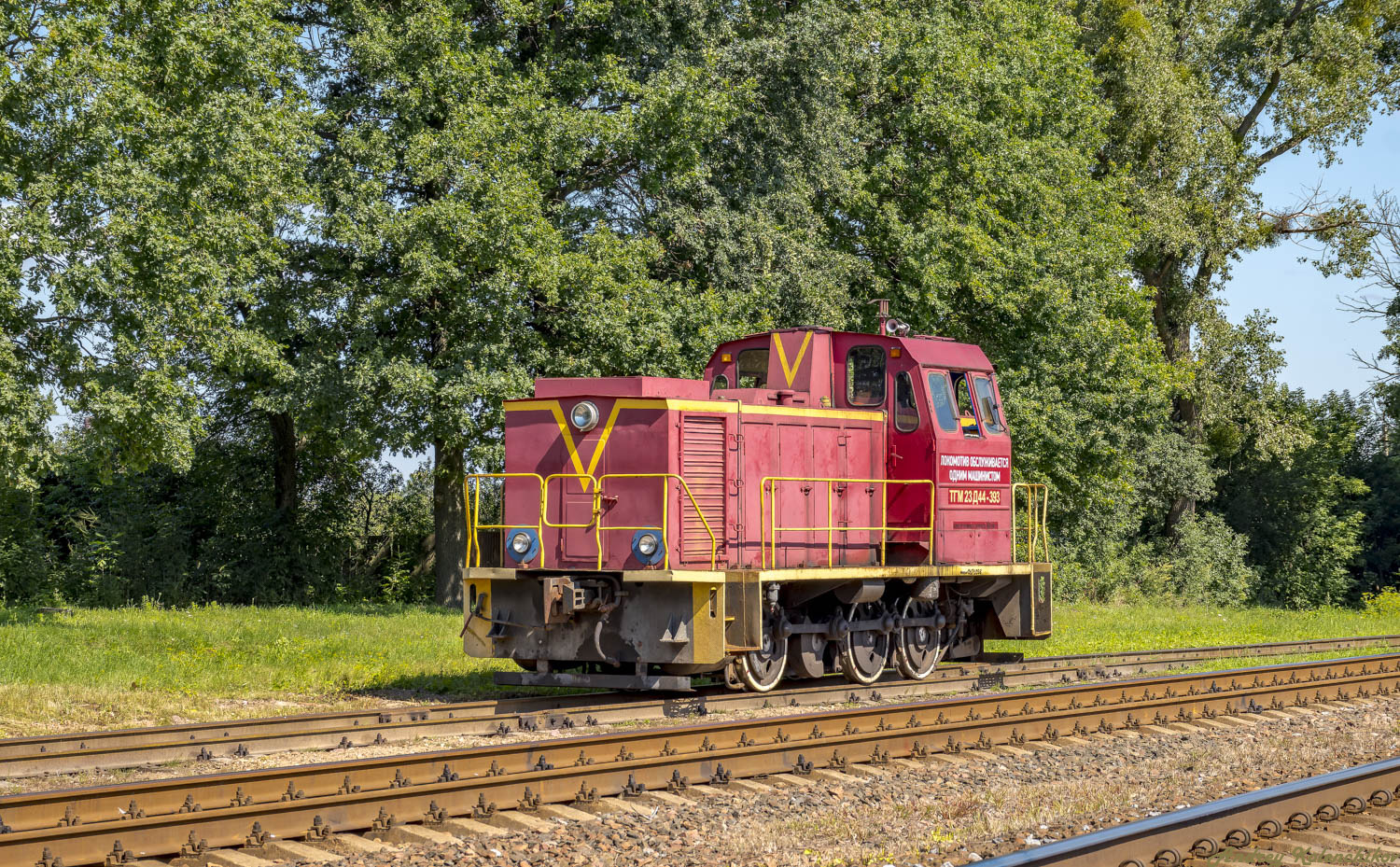 ТГМ23Д44-393