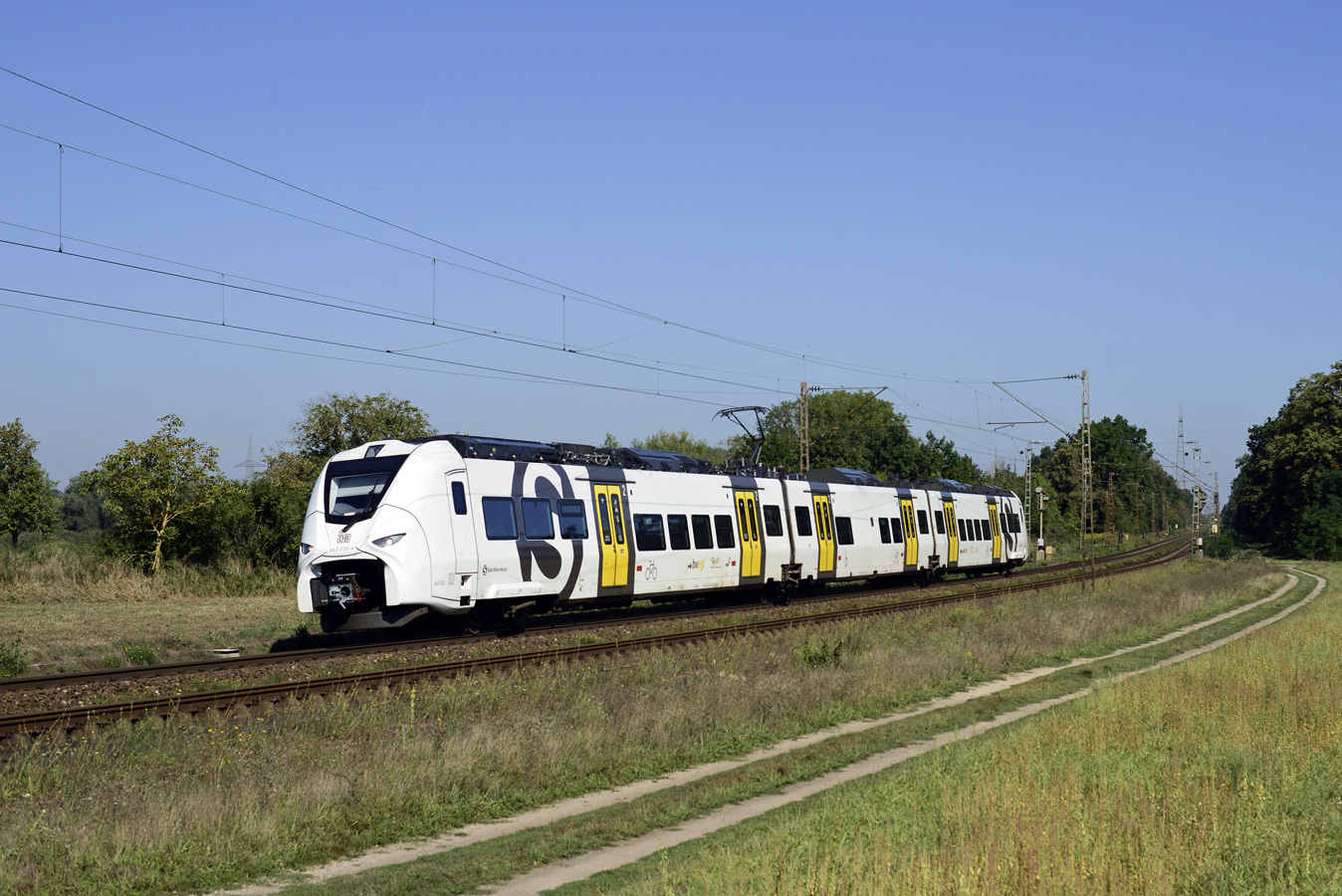 463 036