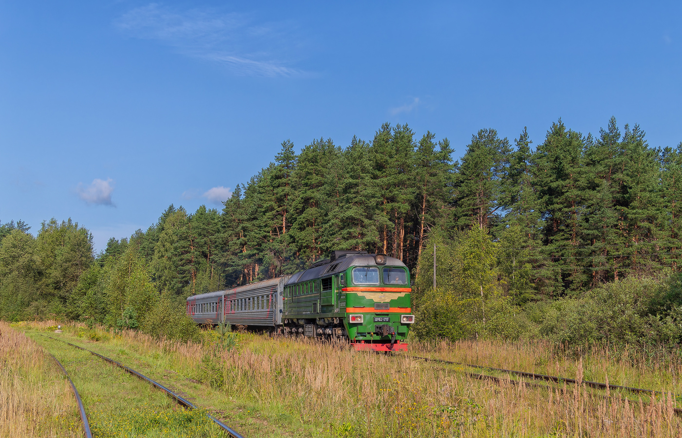 ДМ62-1797
