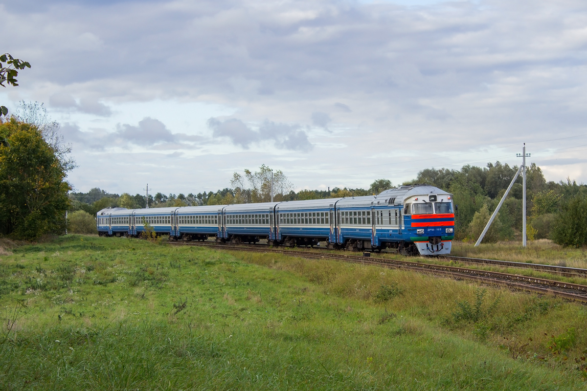 ДР1А-193