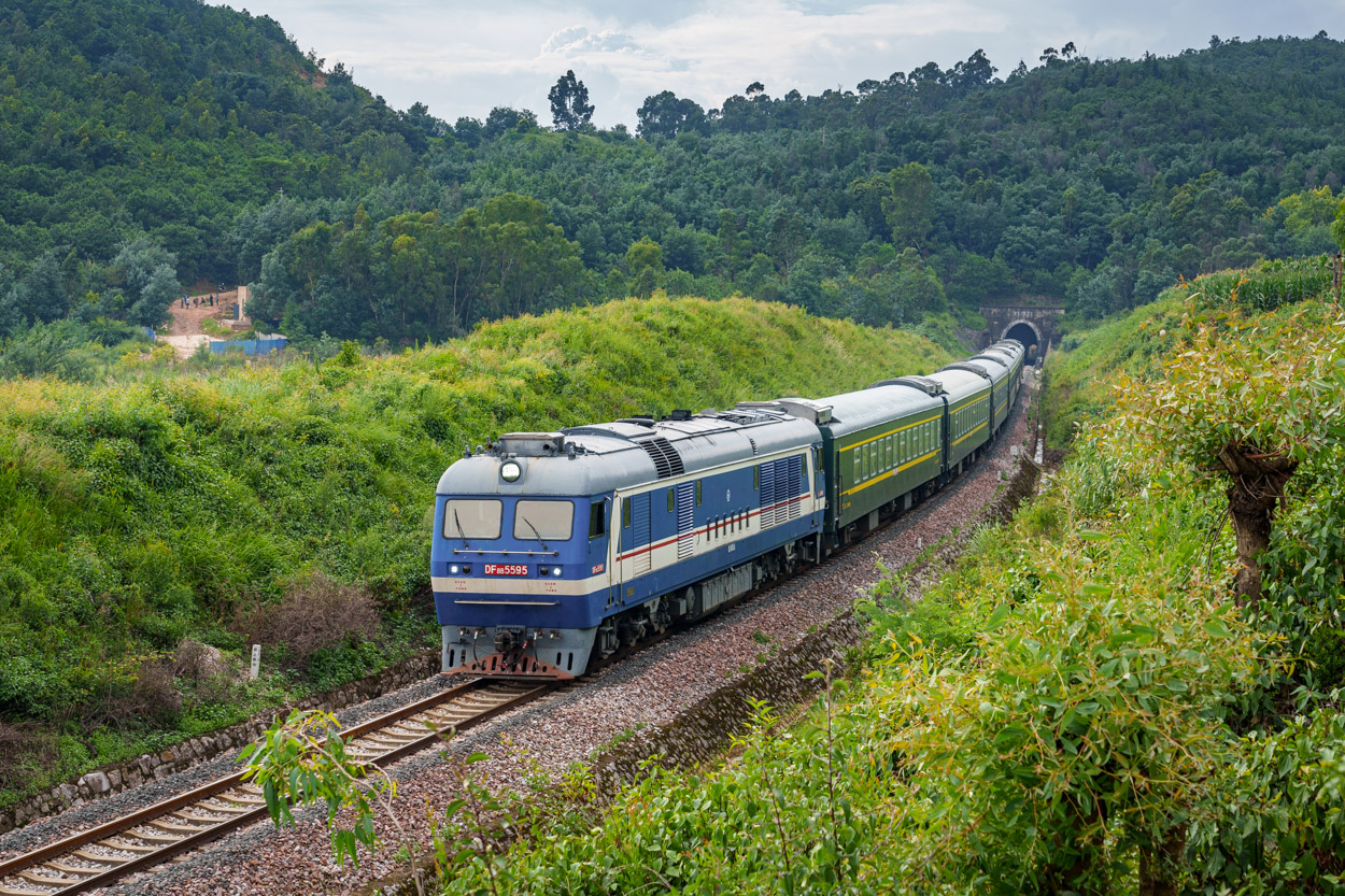 DF8B-5595
