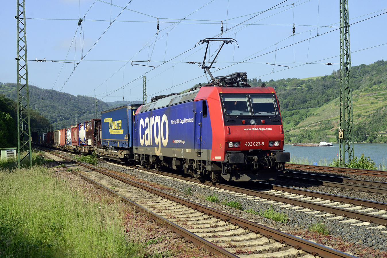 482 023-9