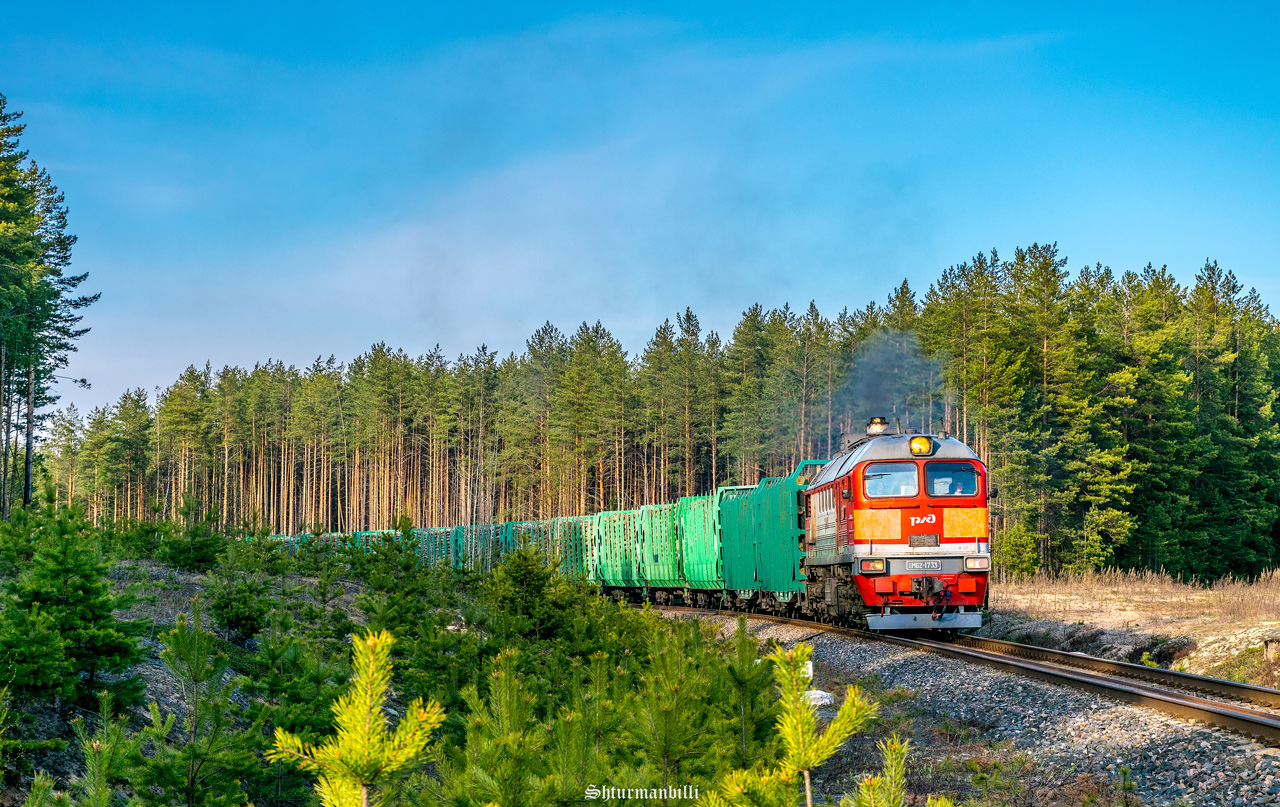 ДМ62-1733