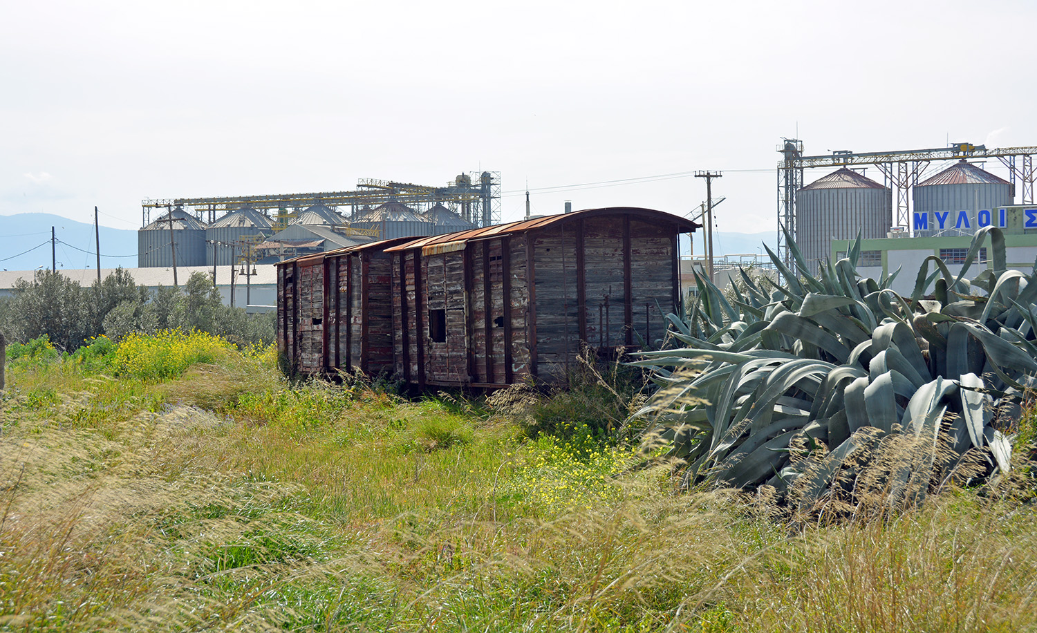 Other — Miscellaneous photos