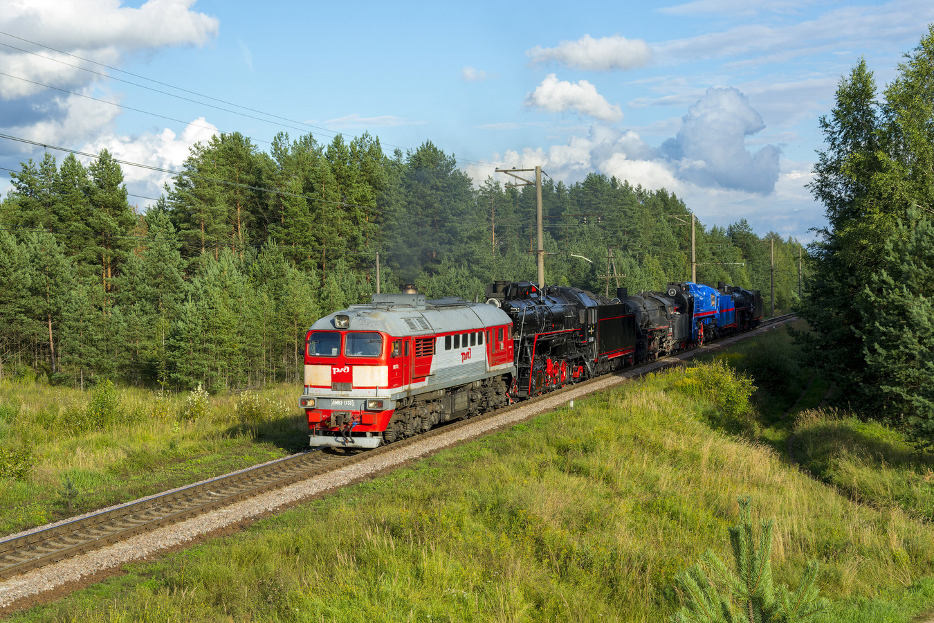 ДМ62-1733