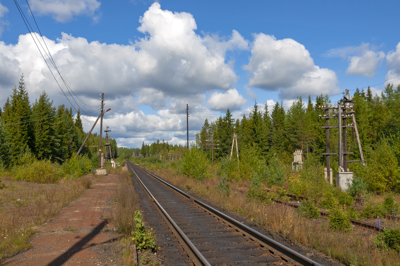 Октябрьская железная дорога — Станции и перегоны