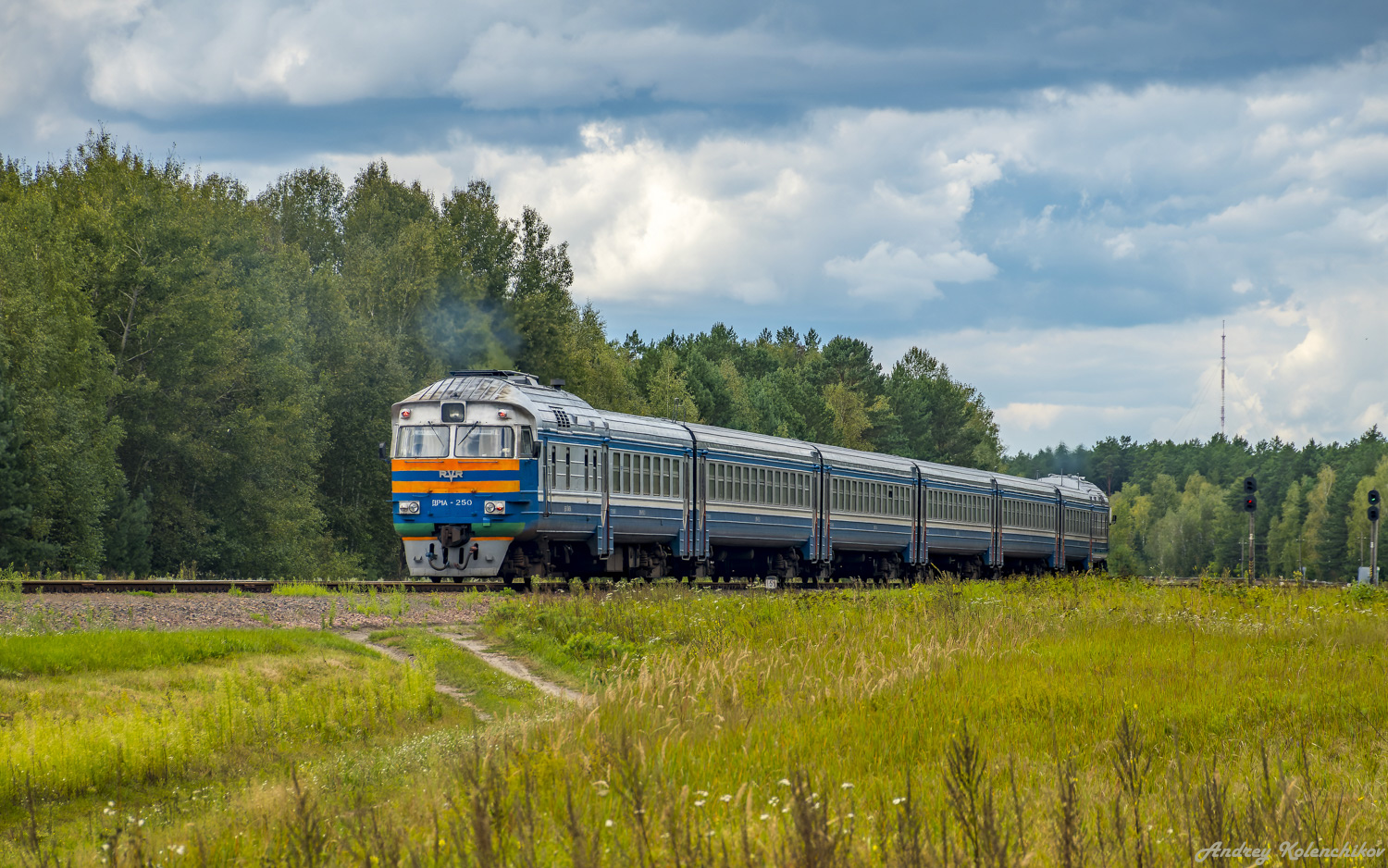 ДР1А-250