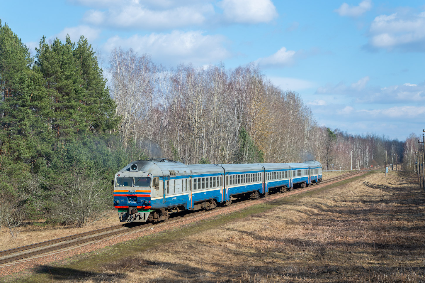 ДР1А-319