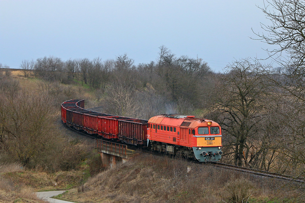 628 231
