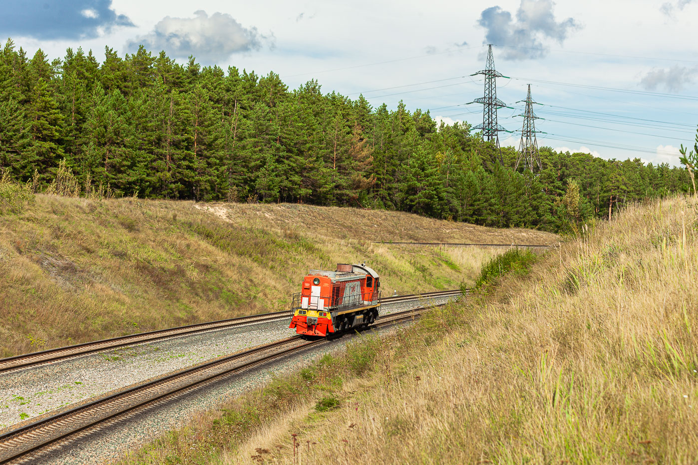 ТЭМ2-6529