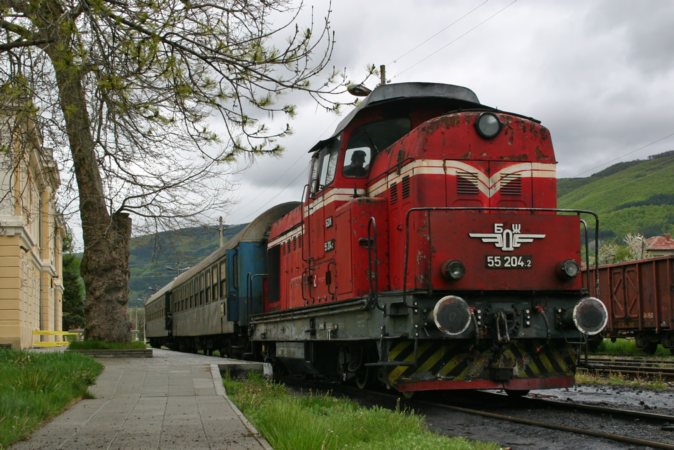 55 204