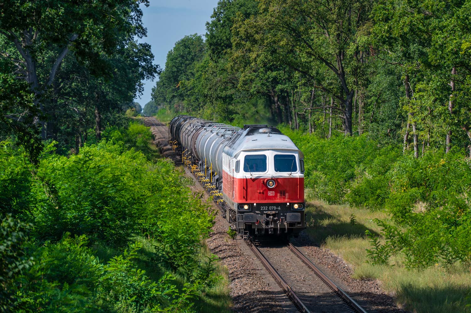 232 079-4
