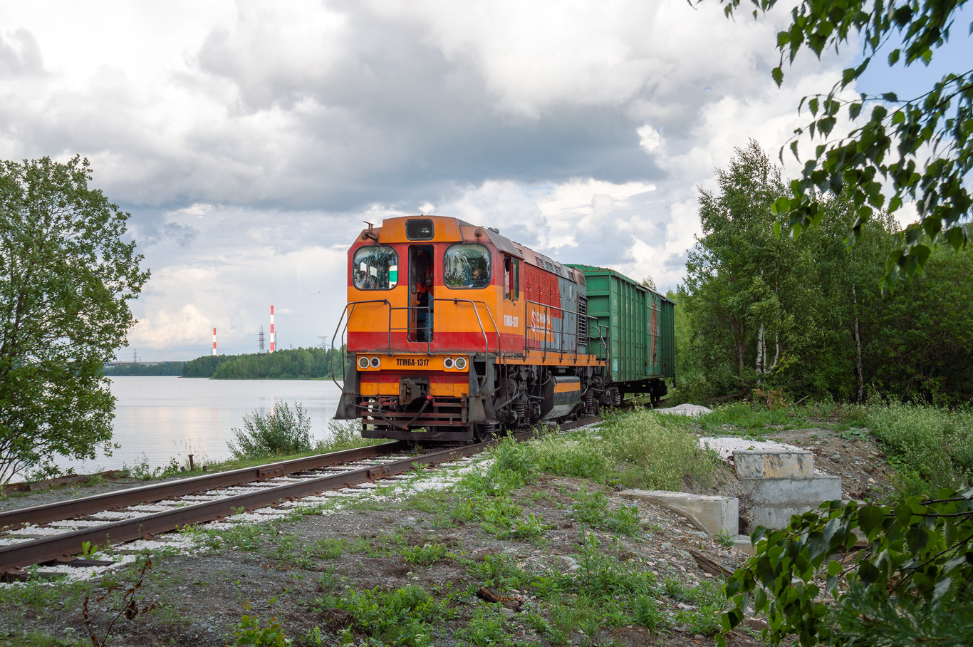 ТГМ6А-1317