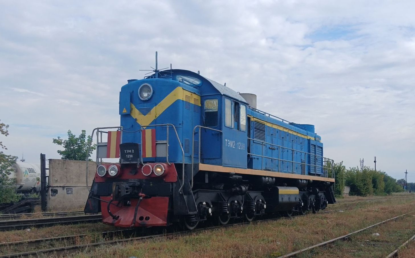 ТЭМ2-1238