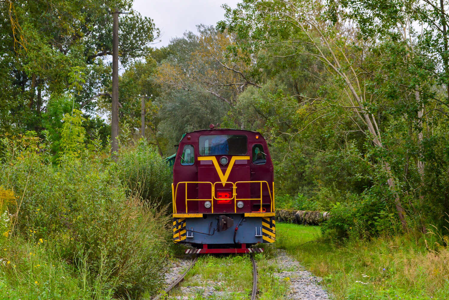 TGM23BV-2162