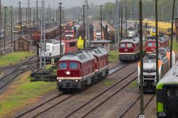 232 535-5 (Germany, private carriers); 232 356-6 (Germany, private carriers); 232 333-5 (Germany, private carriers); 232 601-5 (Germany, private carriers); 231 012-6 (Germany, private carriers); 232 182-6 (Germany, private carriers); 248 072 (Germany, private carriers); 114 035 (Germany, private carriers); 155 230-6 (Germany, private carriers); 159 219-5 (Germany, private carriers); 147 544-1 (Germany, private carriers); 159 003 (Germany, private carriers); 159 272 (Germany, private carriers)