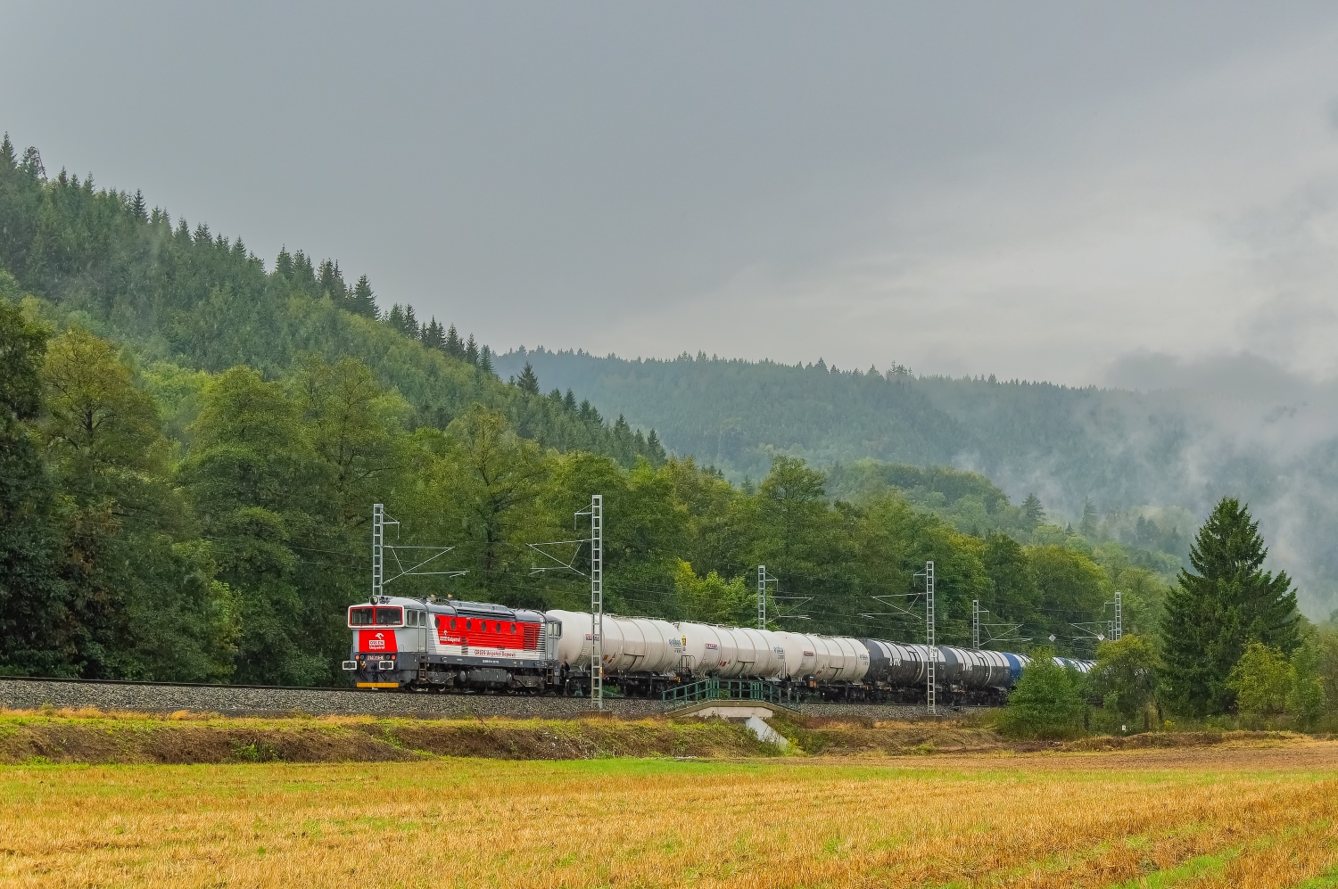 753 716-0