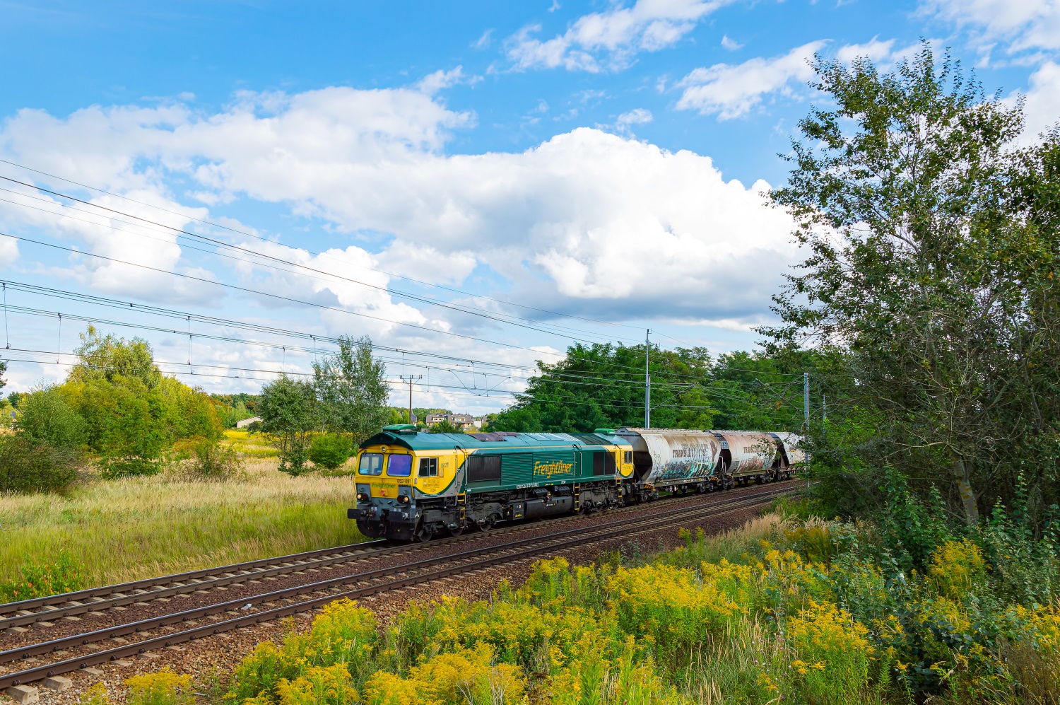 653-09