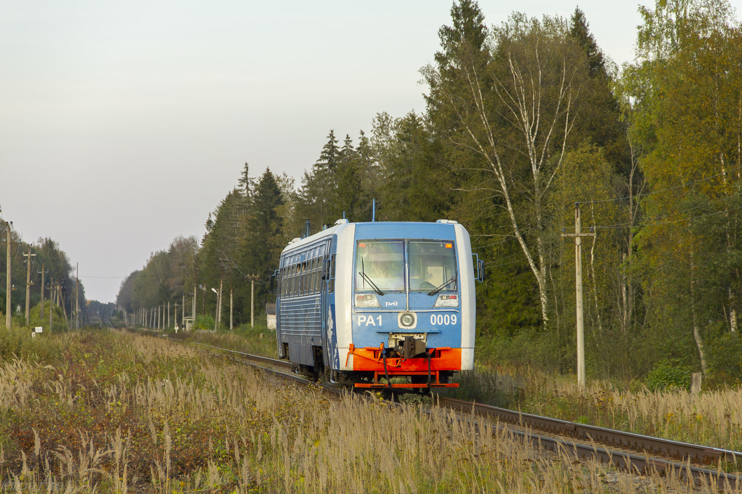 РА1-0009