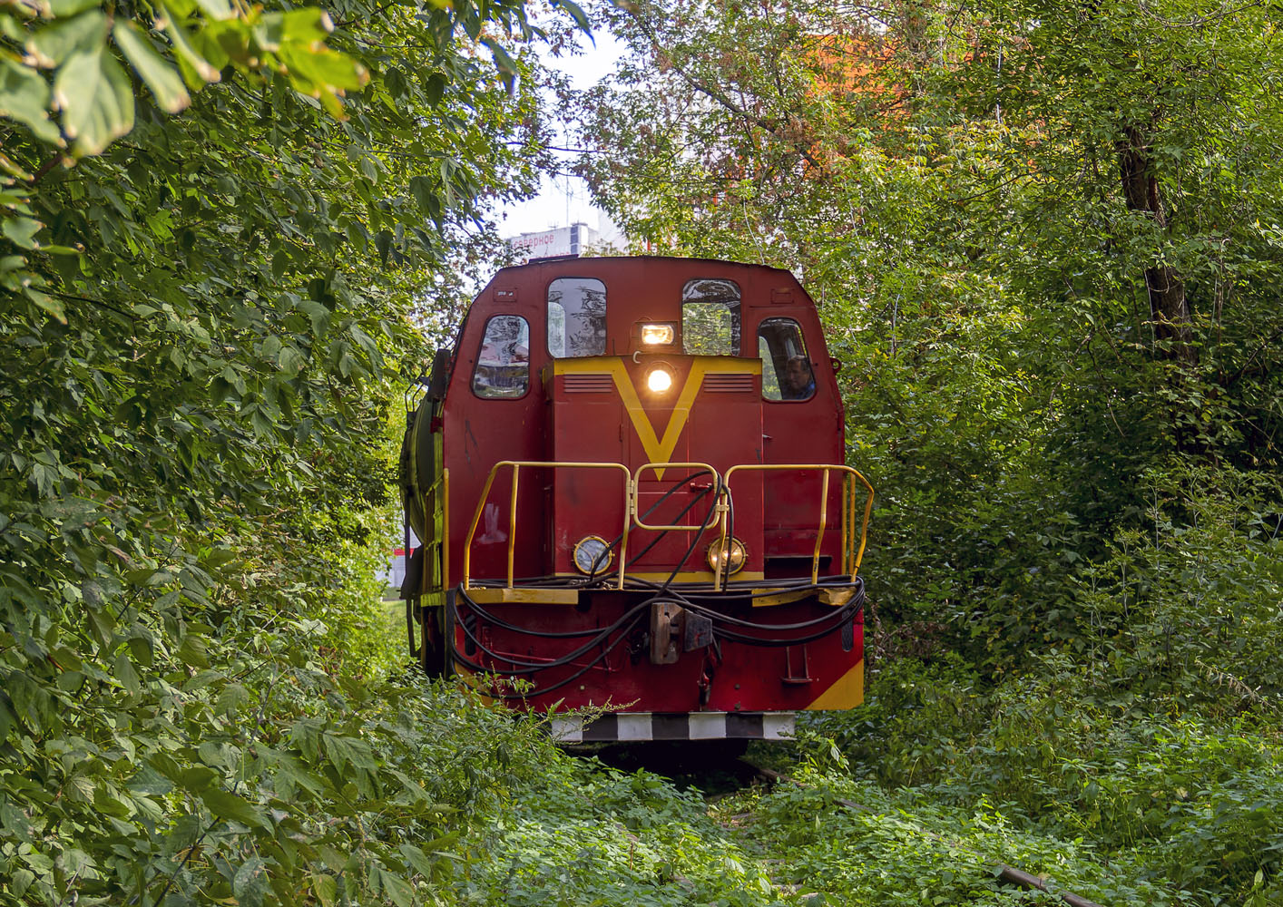ТГМ23В48-1195