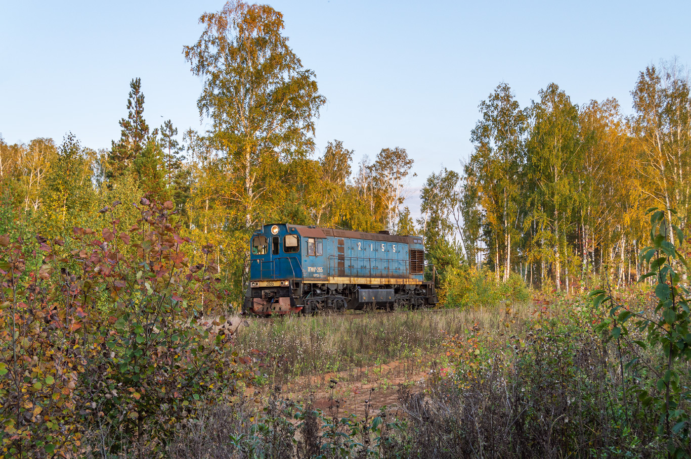 ТГМ6А-2155
