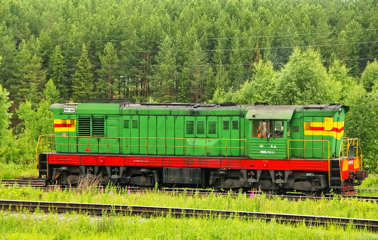 ЧМЭ3-5614