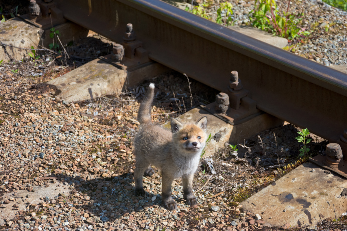 Творческие фотографии