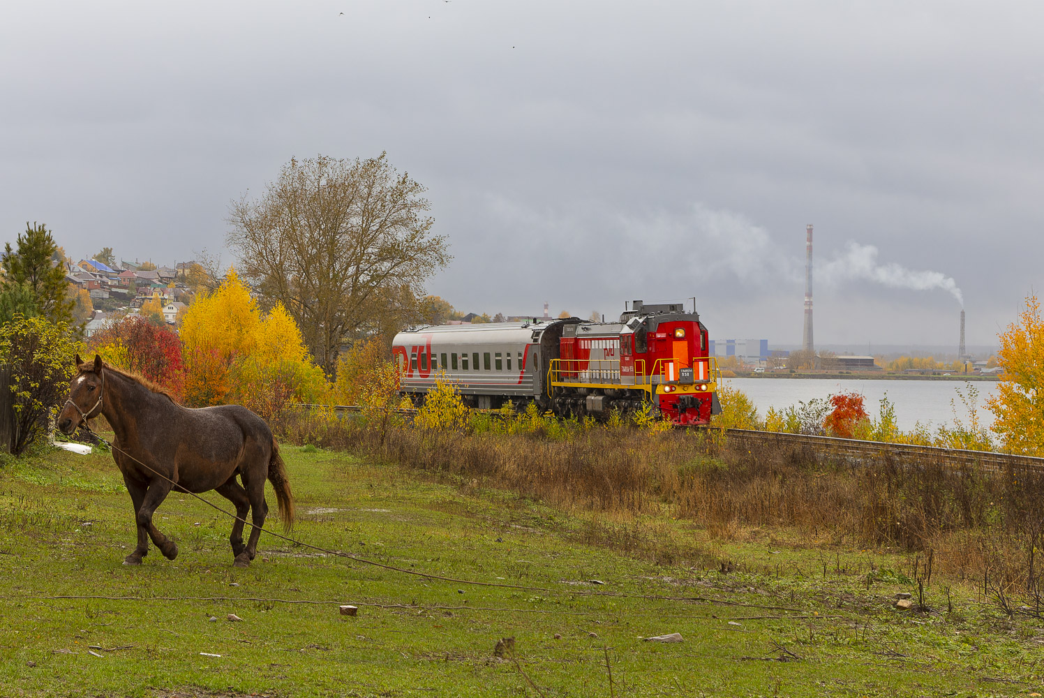 ТЭМ18ДМ-958