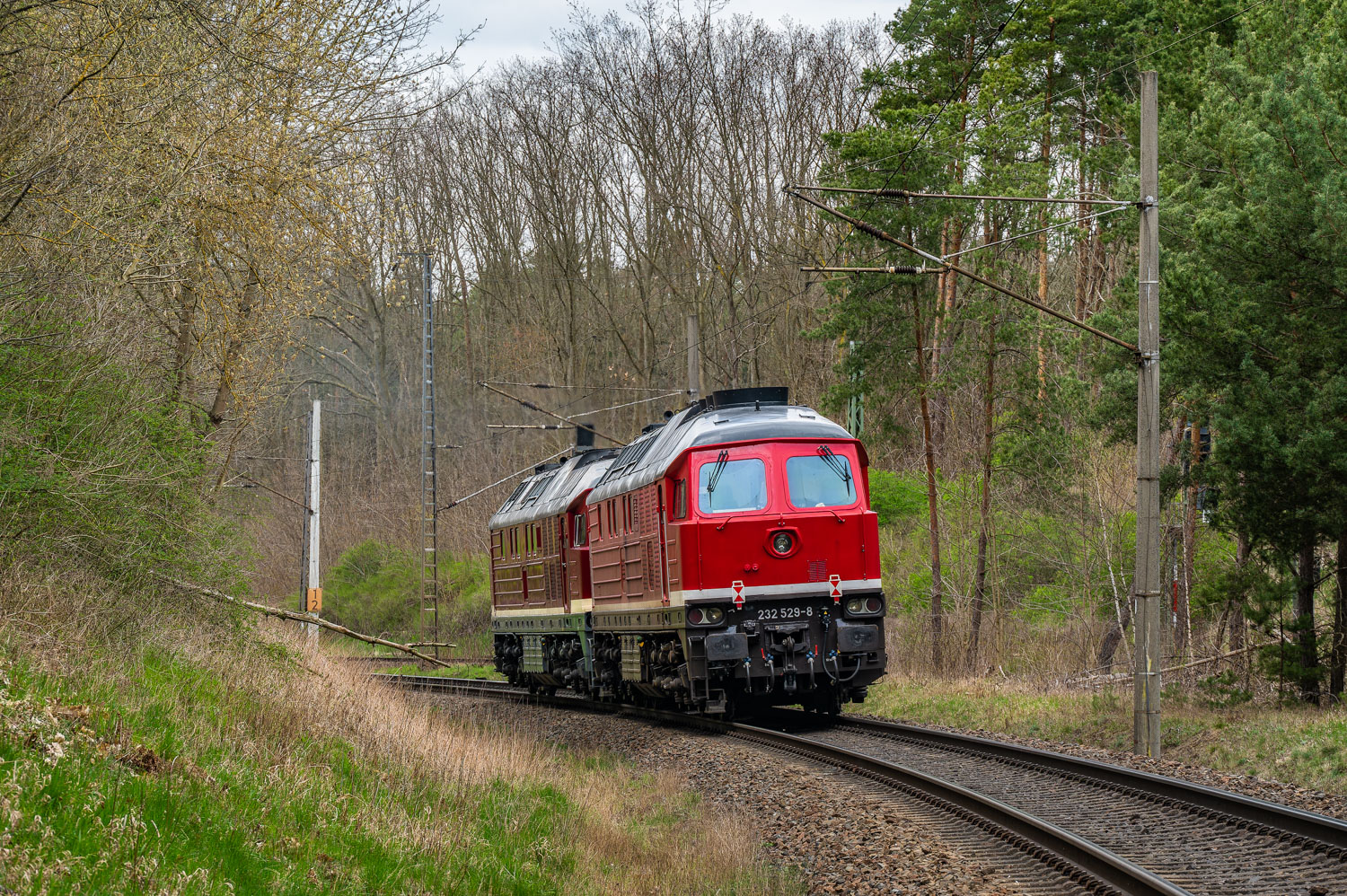 232 529-8