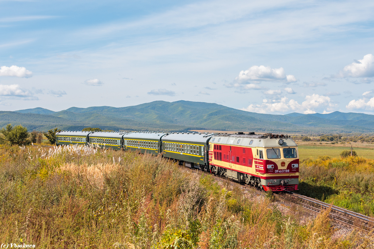 DF4D-3198