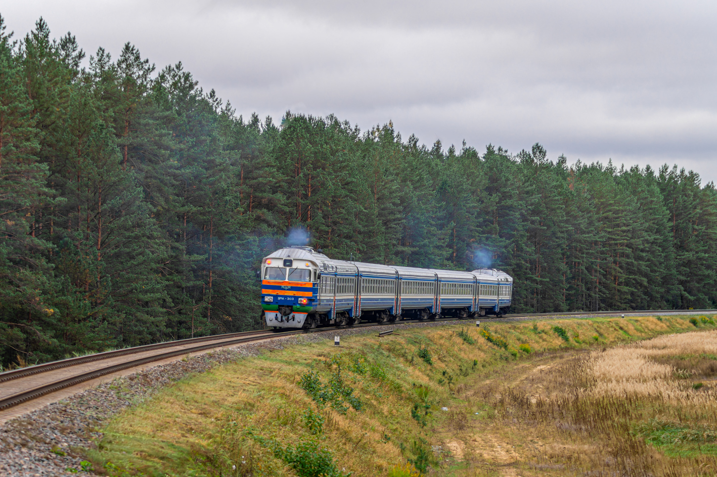 ДР1А-303
