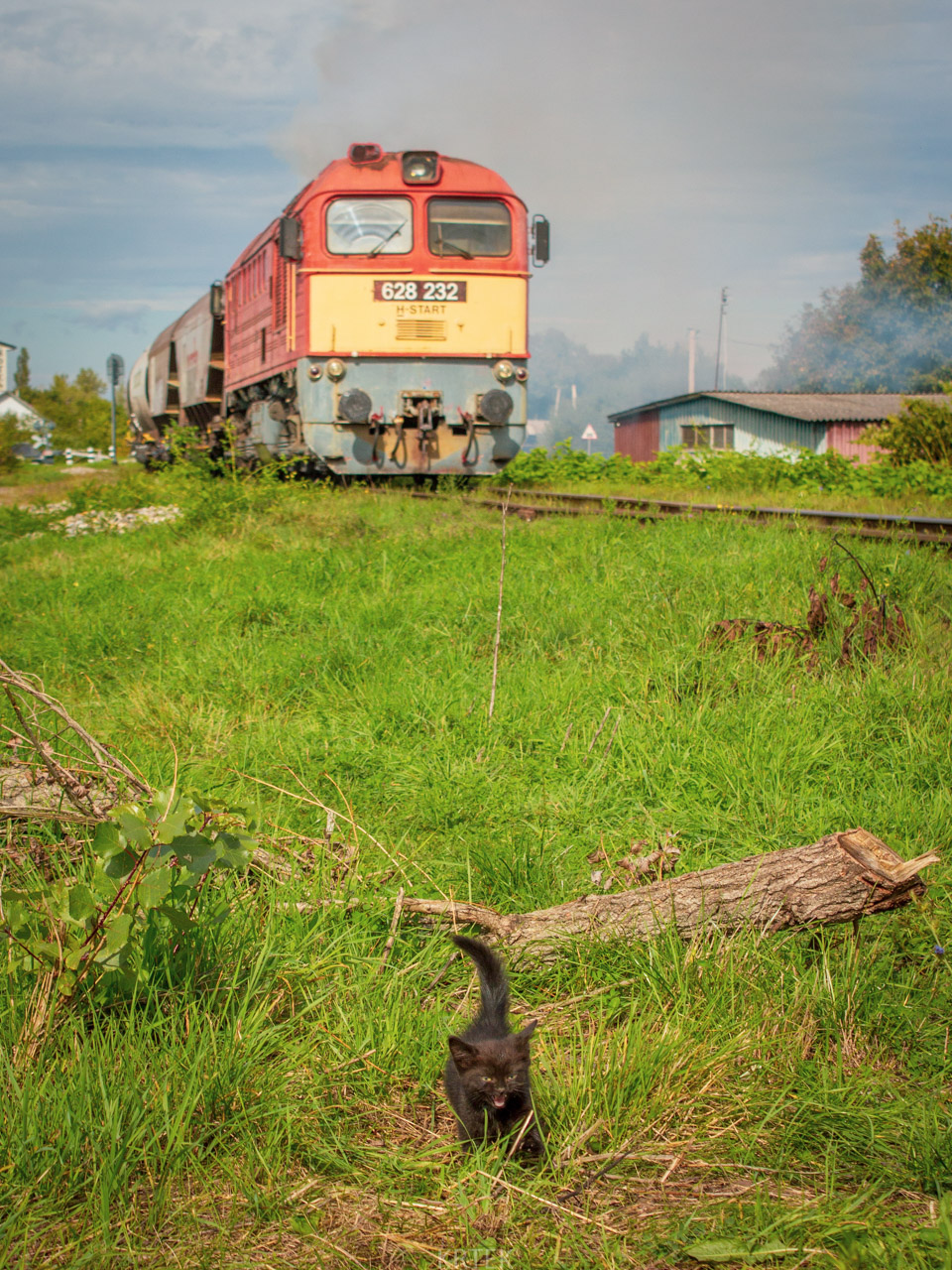 Творческие фотографии