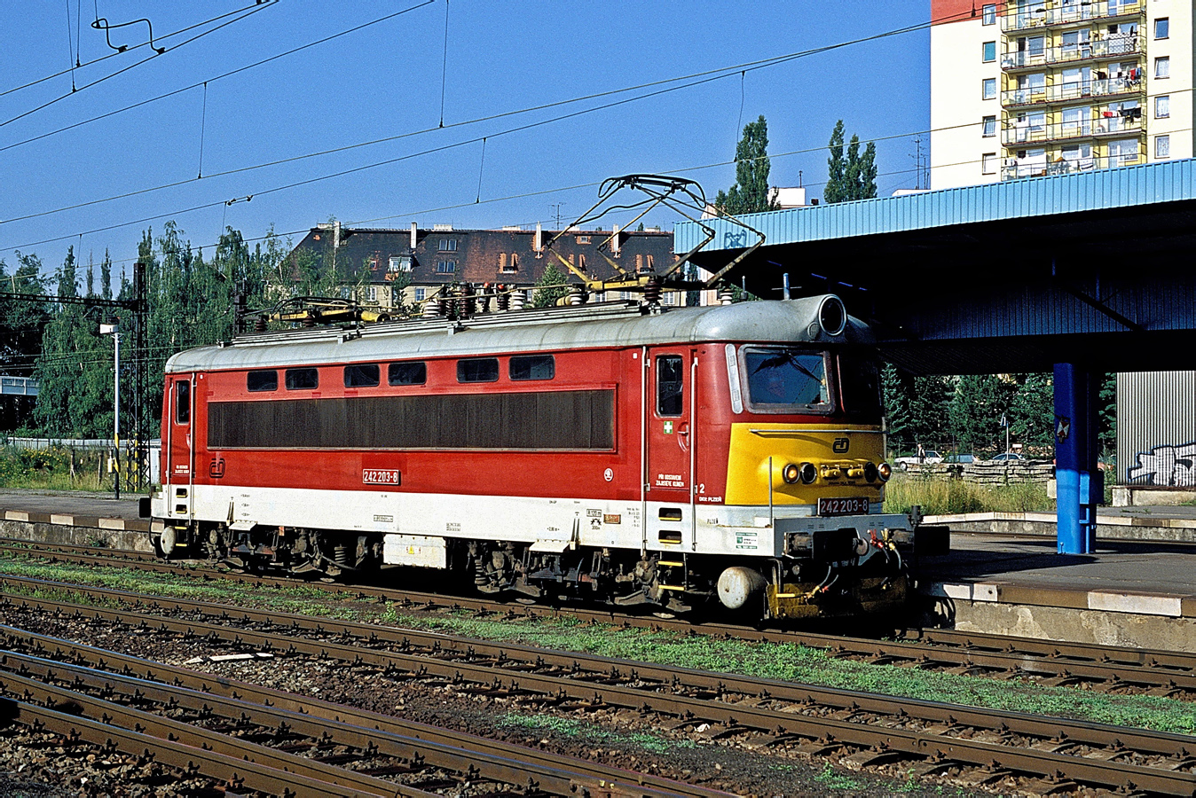 242 203-8