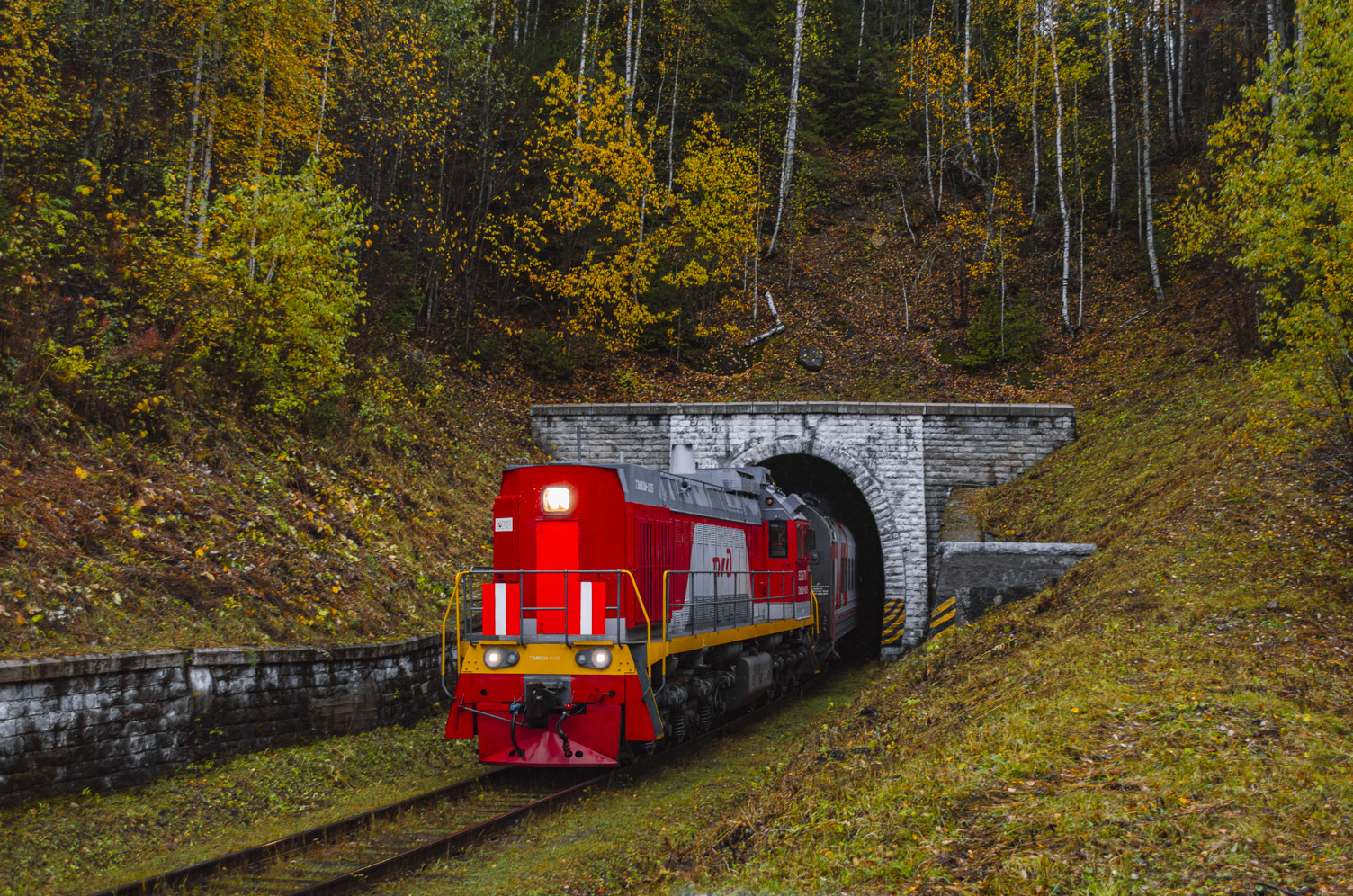 ТЭМ18ДМ-1005