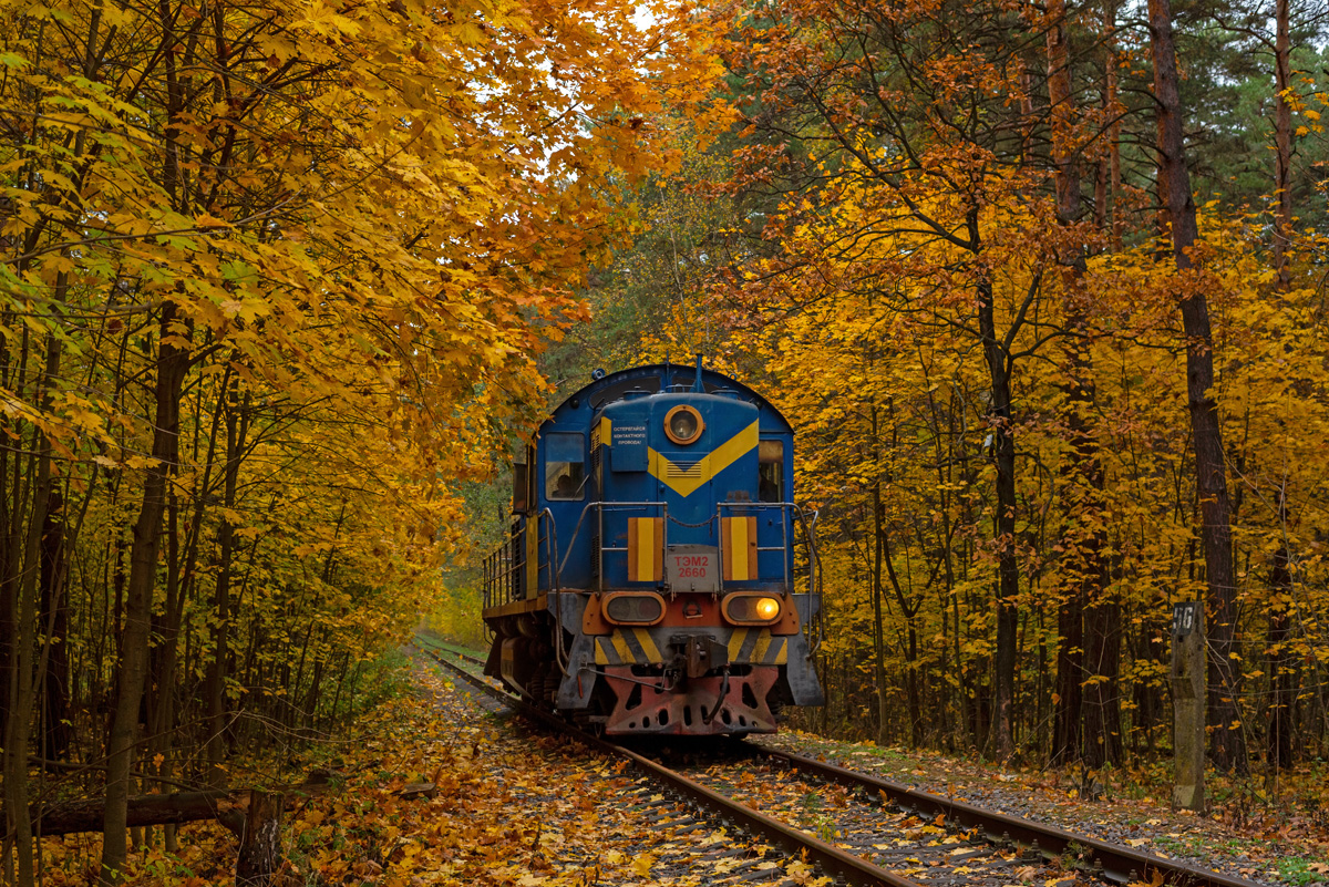 ТЭМ2-2660