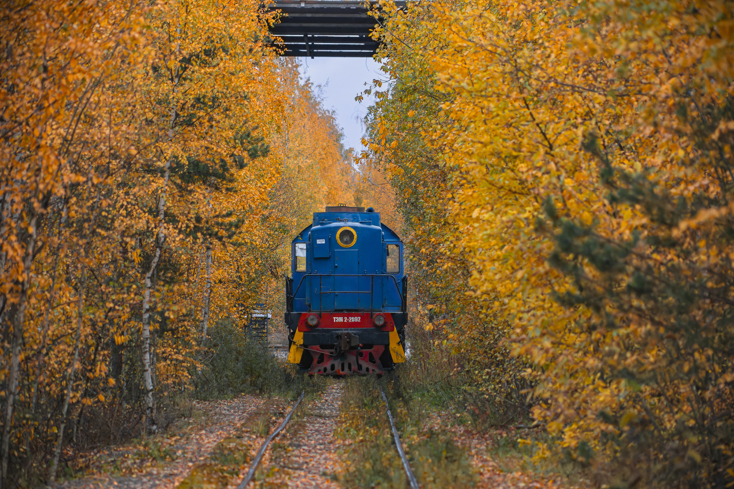 ТЭМ2-2092