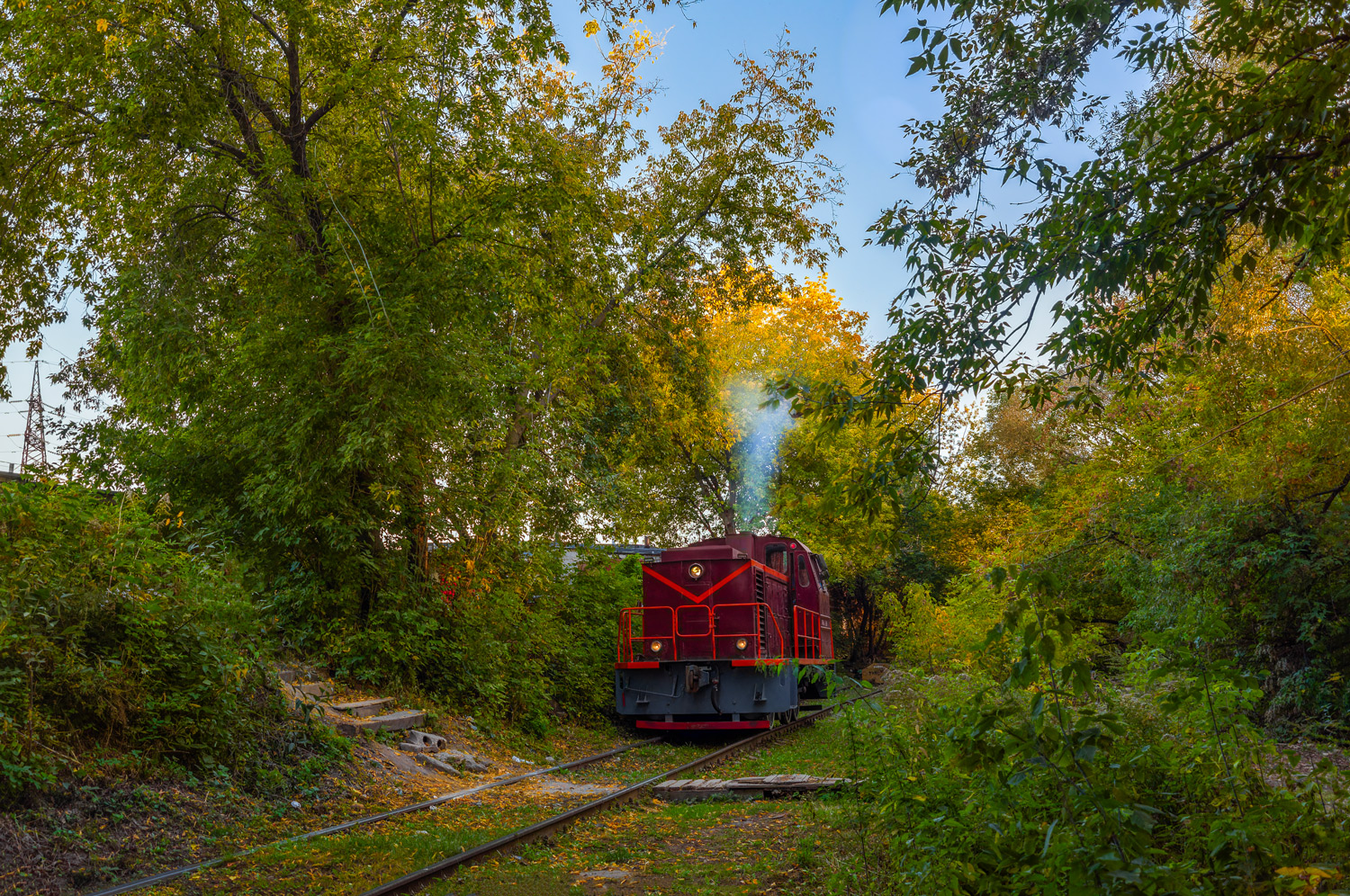 ТГМ23В48-2596
