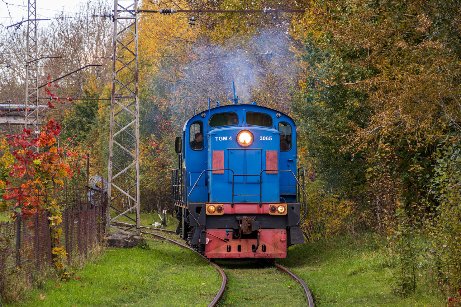 ТГМ4-3065